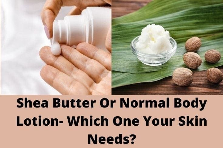 Shea Butter Or Normal Body Lotion- Which One Your Skin Needs?