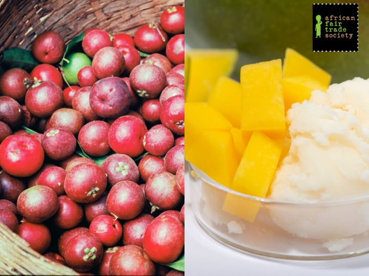 kokum butter vs mango butter