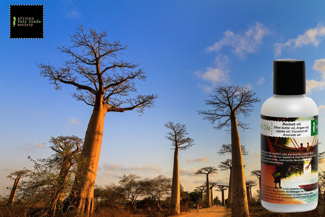 Baobab Tree And Baobab Oil