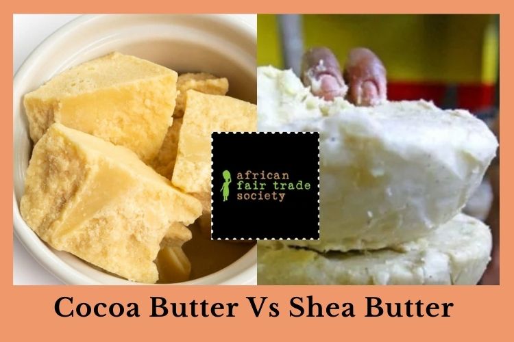 Cocoa Vs Shea Butter