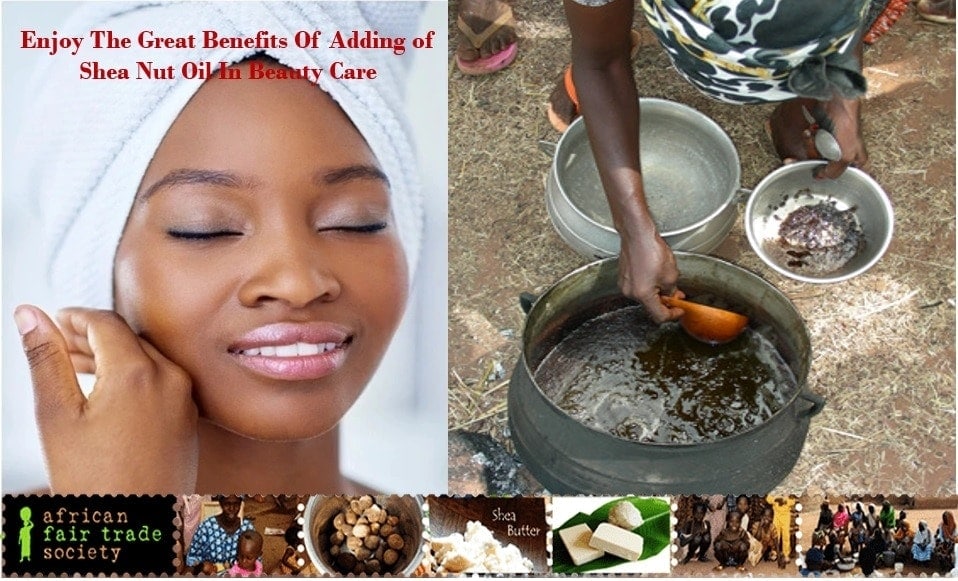 Enjoy The Great Benefits Of Adding of Shea Nut Oil In Beauty care