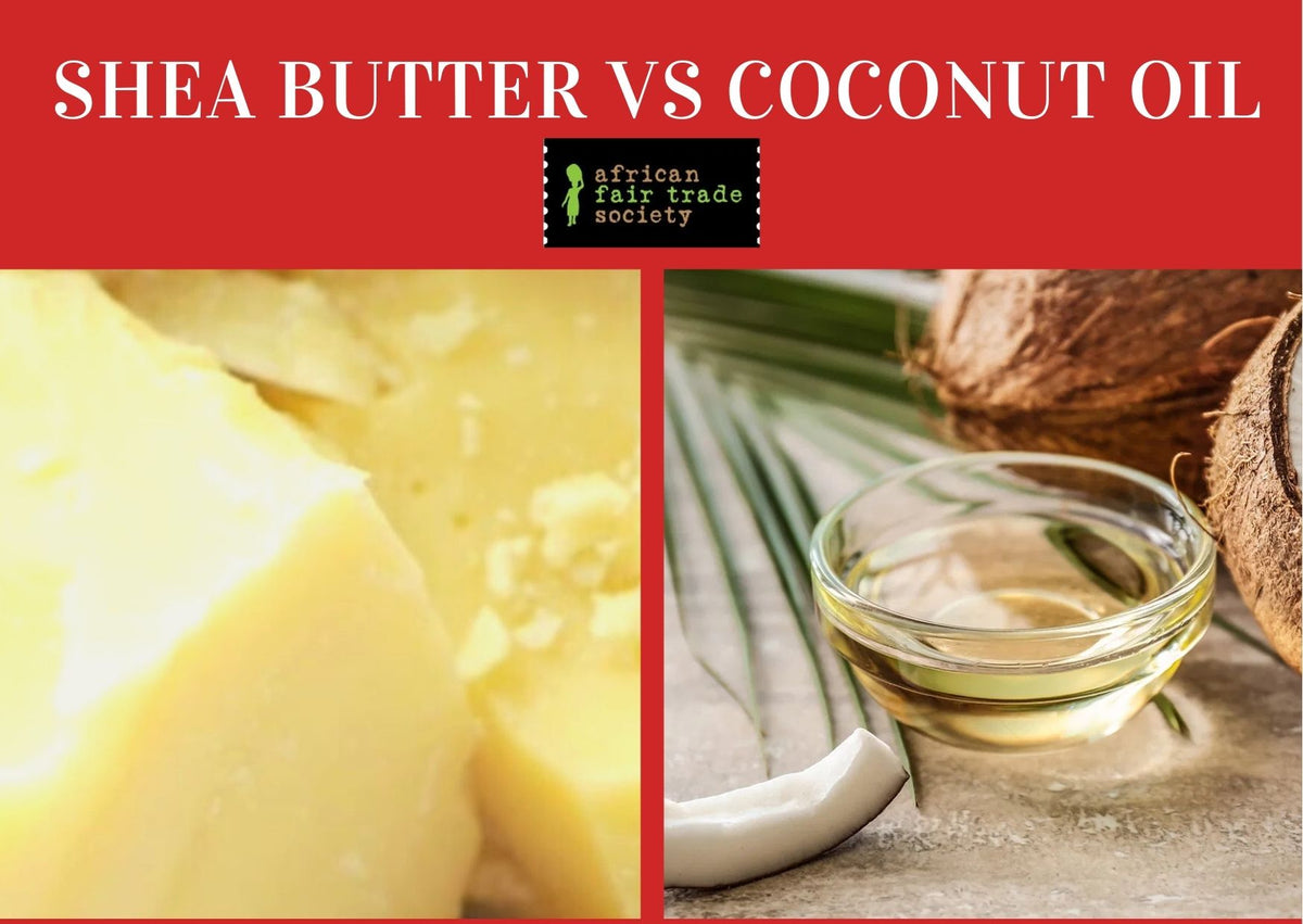 Shea Butter Vs Coconut Oil Which Is the Better Moisturizer?