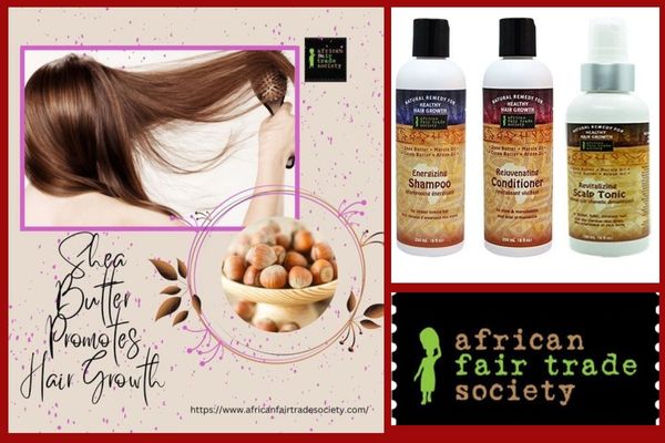 Is Applying Shea Butter Safe to Your Hair? Let’s Explore!