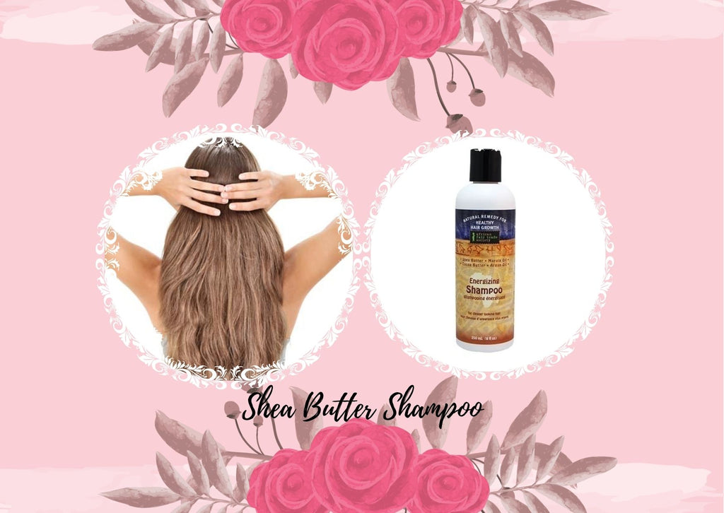 Is Shea Butter Shampoo Useful For Your Dry Hair?
