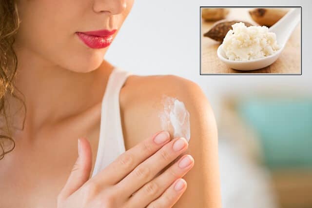 organic shea butter